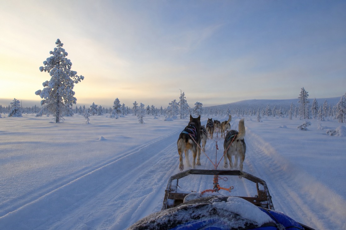 Snow-covered Finnish Lapland landscape in natural winter light