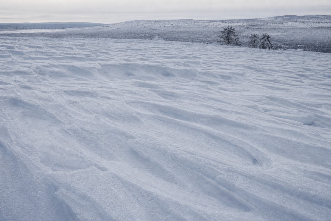 Snow-covered Finnish Lapland landscape in natural winter light
