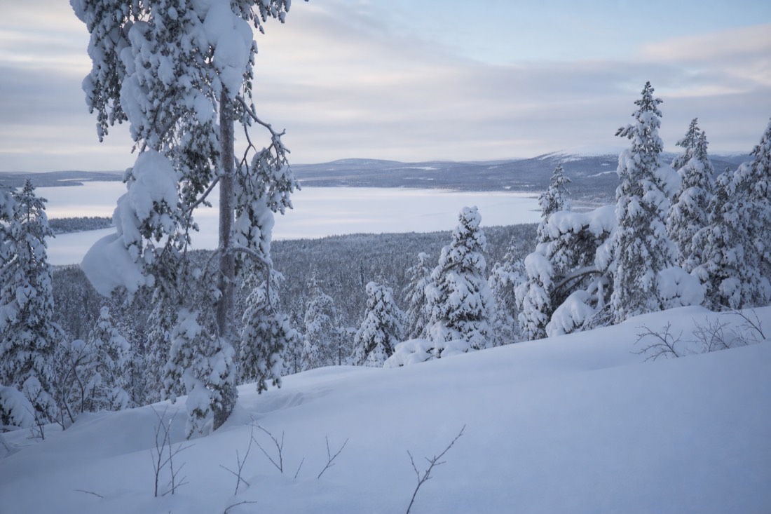 Snow-covered Finnish Lapland landscape in natural winter light