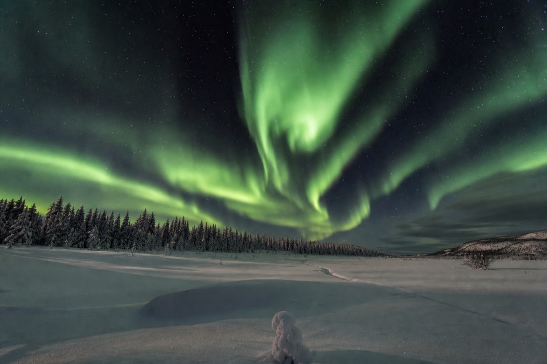 A radiant green aurora borealis dancing over a pristine snowy Lapland wilderness, untouched snow fields, distant forest line