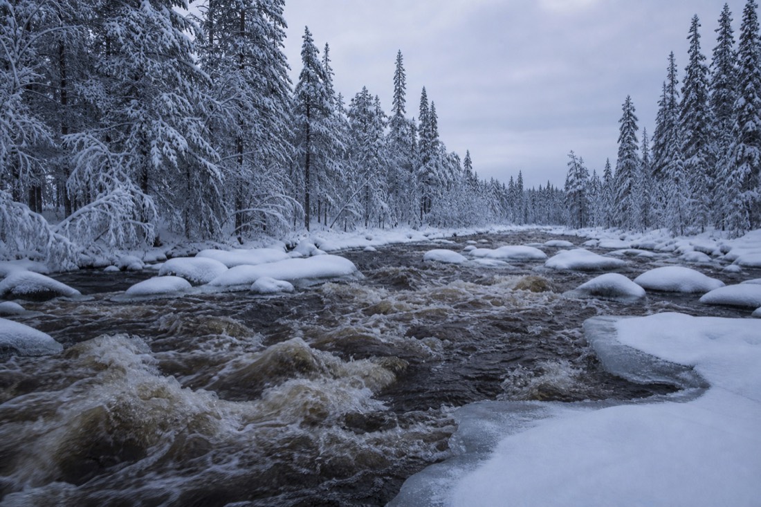 Snow-covered Finnish Lapland landscape in natural winter light