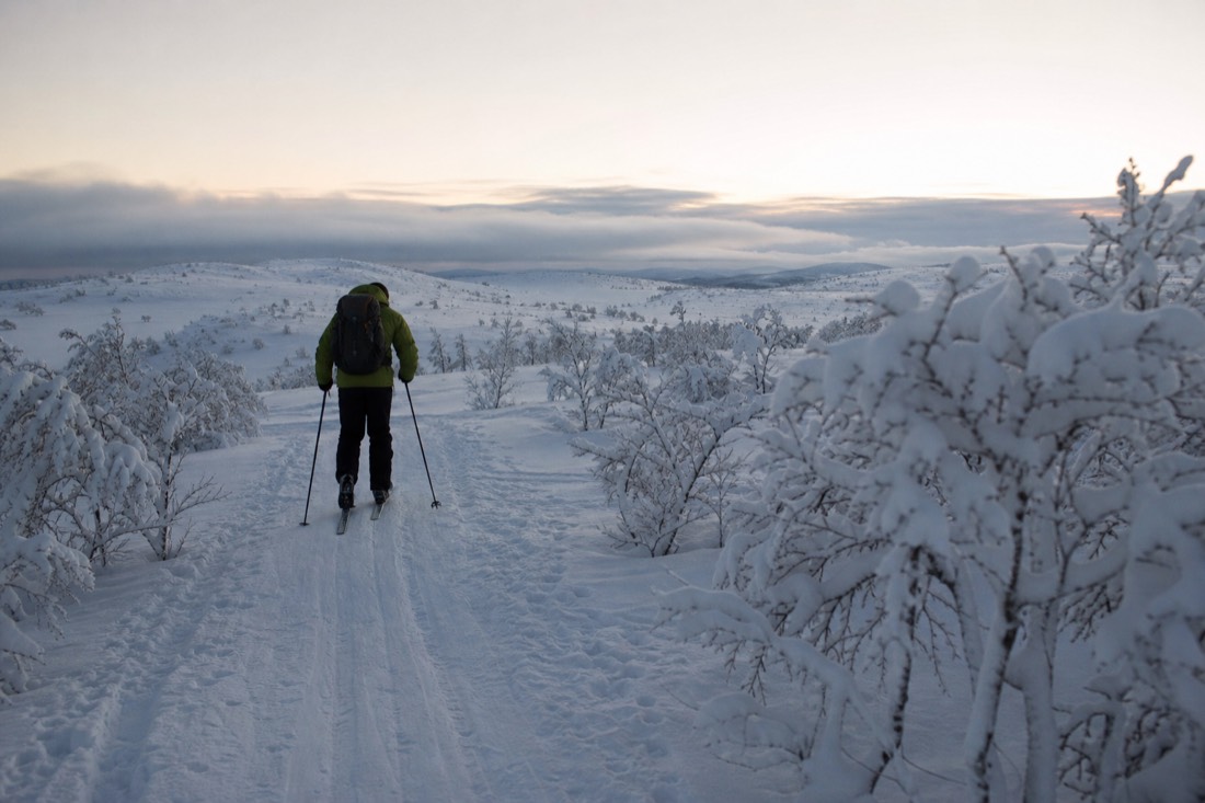 Snow-covered Finnish Lapland landscape in natural winter light