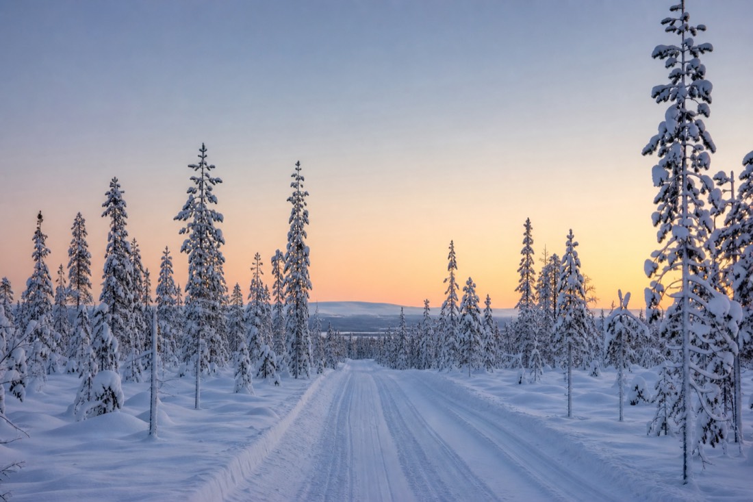 Une piste dégagée à travers une neige profonde menant à la forêt de Laponie à l’aube
