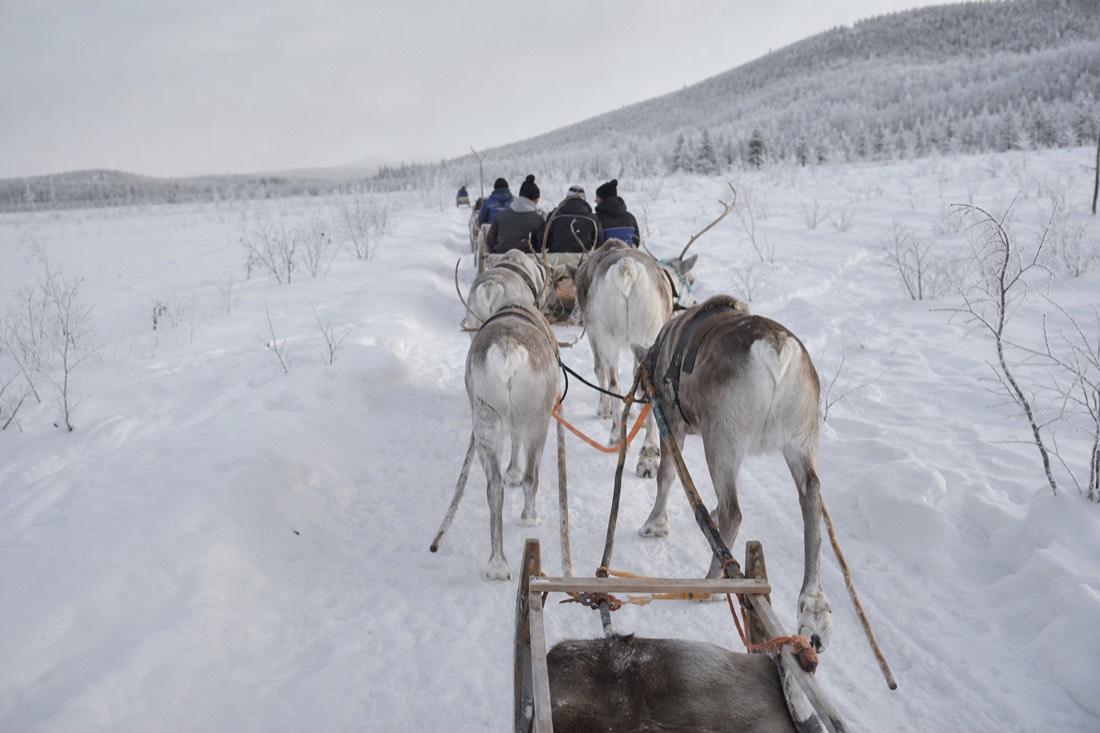 Snow-covered Finnish Lapland landscape in natural winter light