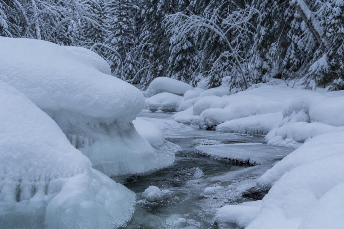 Snow-covered Finnish Lapland landscape in natural winter light