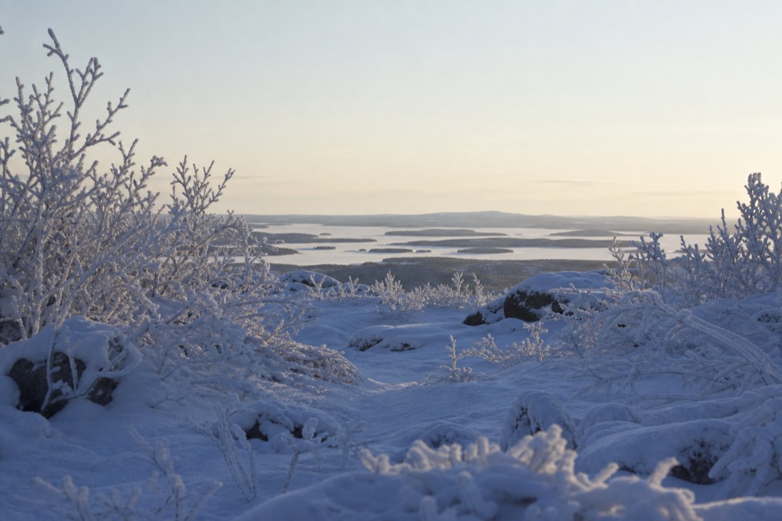 Snow-covered Finnish Lapland landscape in natural winter light