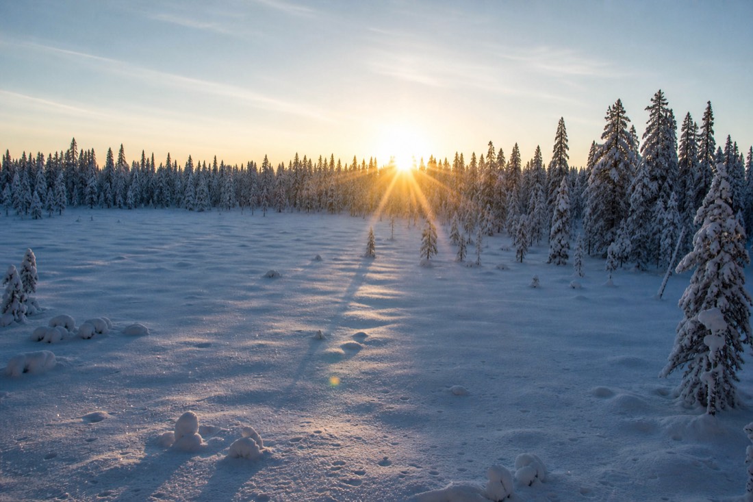 Soleil d’hiver bas sur l’horizon au-dessus d’un champ de neige en Laponie finlandaise