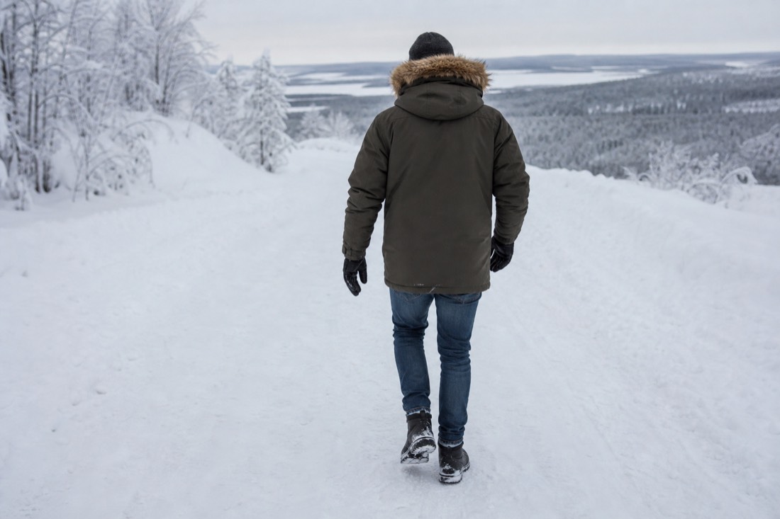 Snow-covered Finnish Lapland landscape in natural winter light