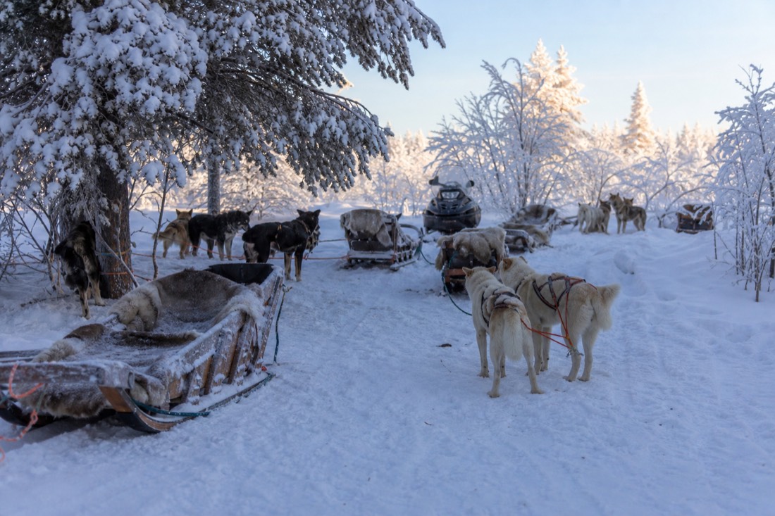 Snow-covered Finnish Lapland landscape in natural winter light
