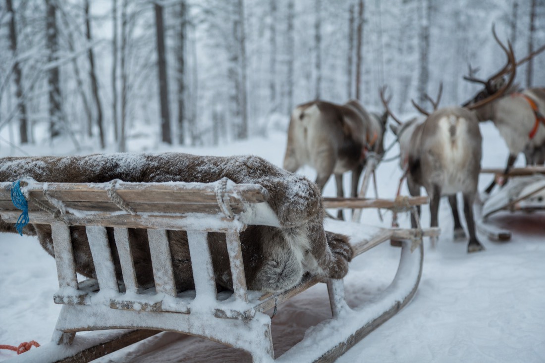 Snow-covered Finnish Lapland landscape in natural winter light