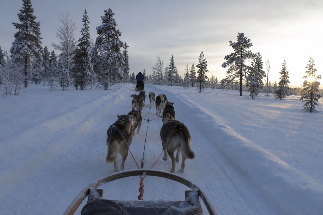 Snow-covered Finnish Lapland landscape in natural winter light