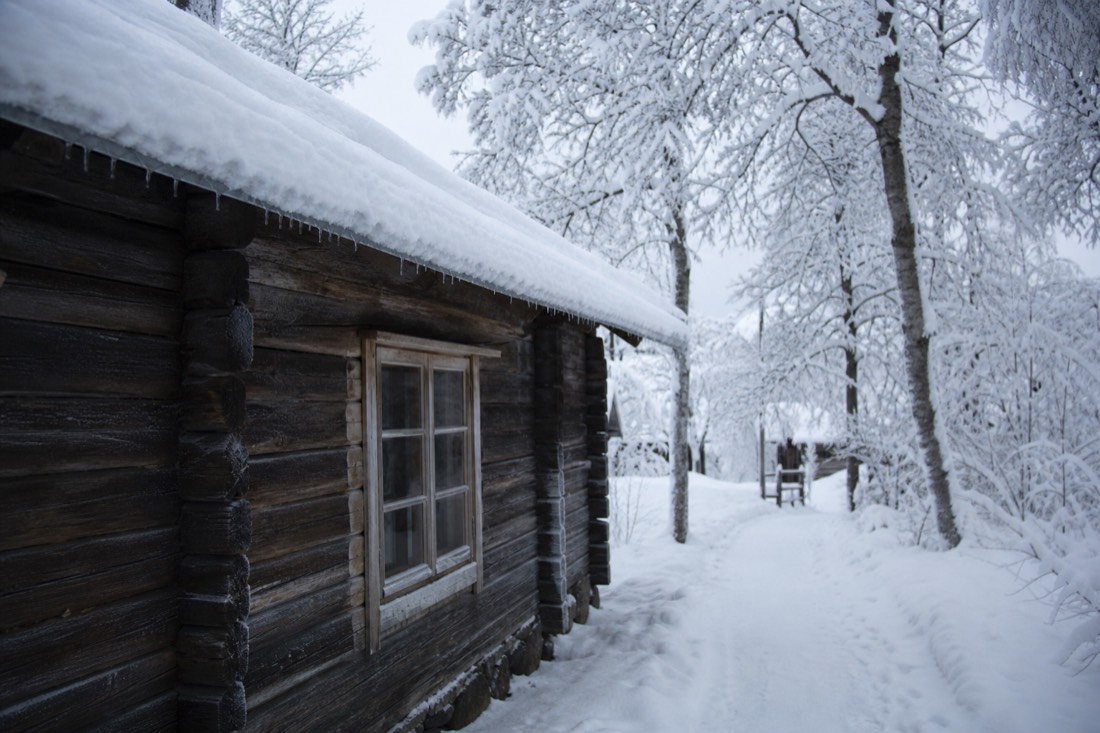 Snow-covered Finnish Lapland landscape in natural winter light