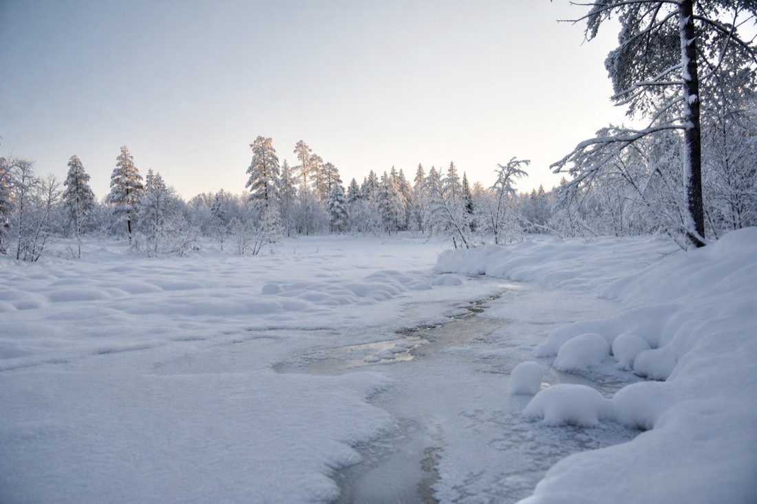 Snow-covered Finnish Lapland landscape in natural winter light