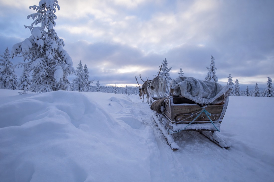 Snow-covered Finnish Lapland landscape in natural winter light