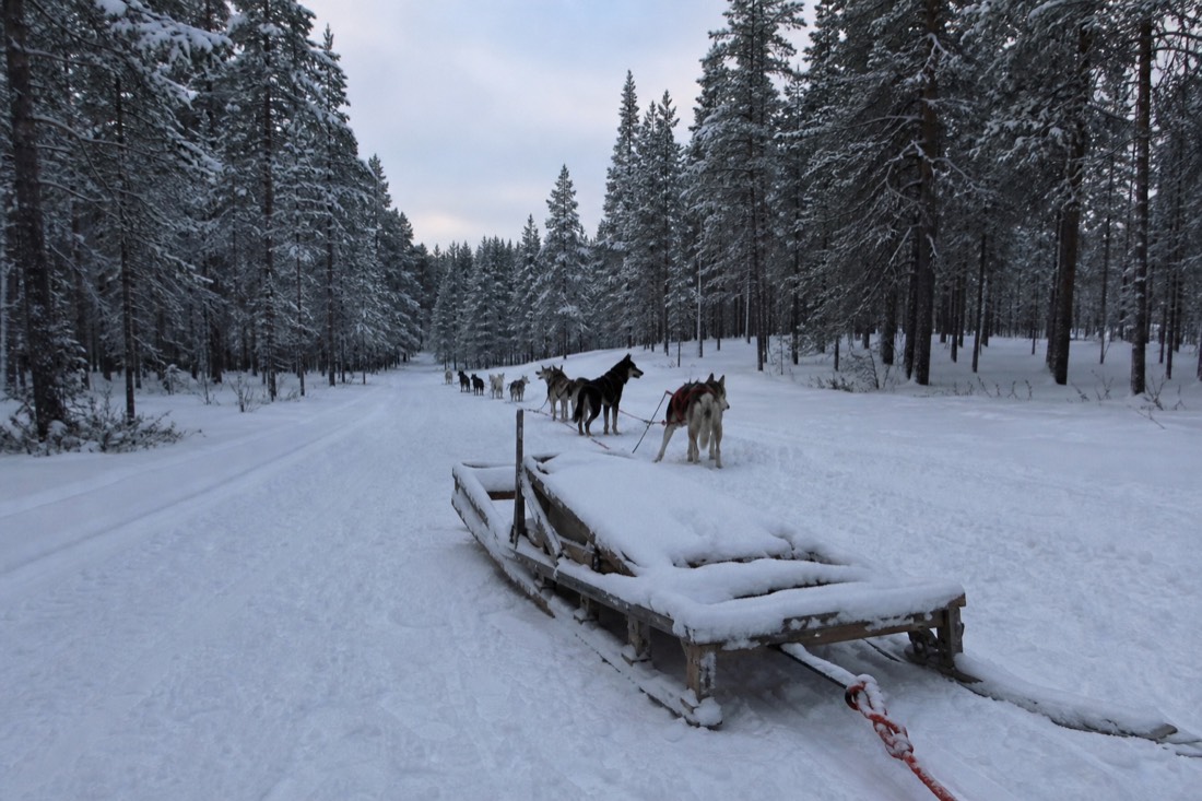 Snow-covered Finnish Lapland landscape in natural winter light