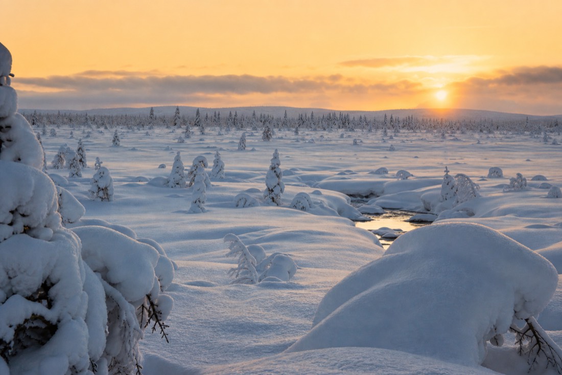 Snow-covered Finnish Lapland landscape in natural winter light