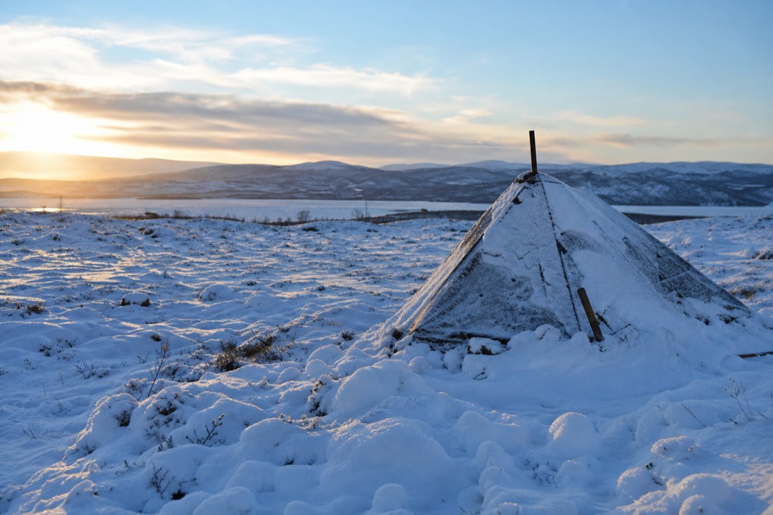 Snow-covered Finnish Lapland landscape in natural winter light