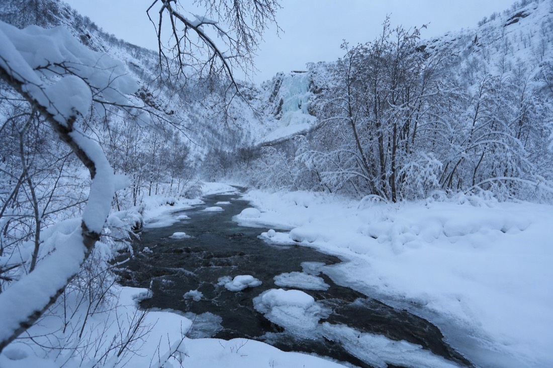 Snow-covered Finnish Lapland landscape in natural winter light