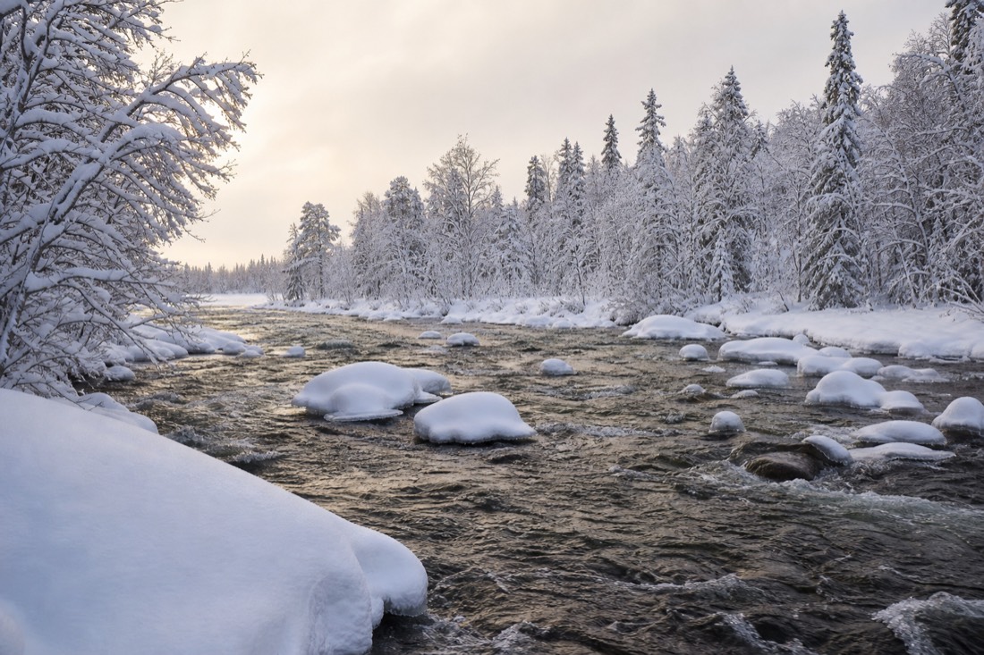 Snow-covered Finnish Lapland landscape in natural winter light