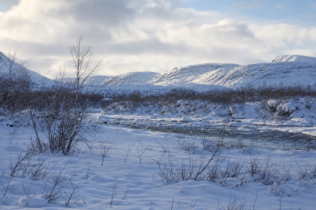 Snow-covered Finnish Lapland landscape in natural winter light