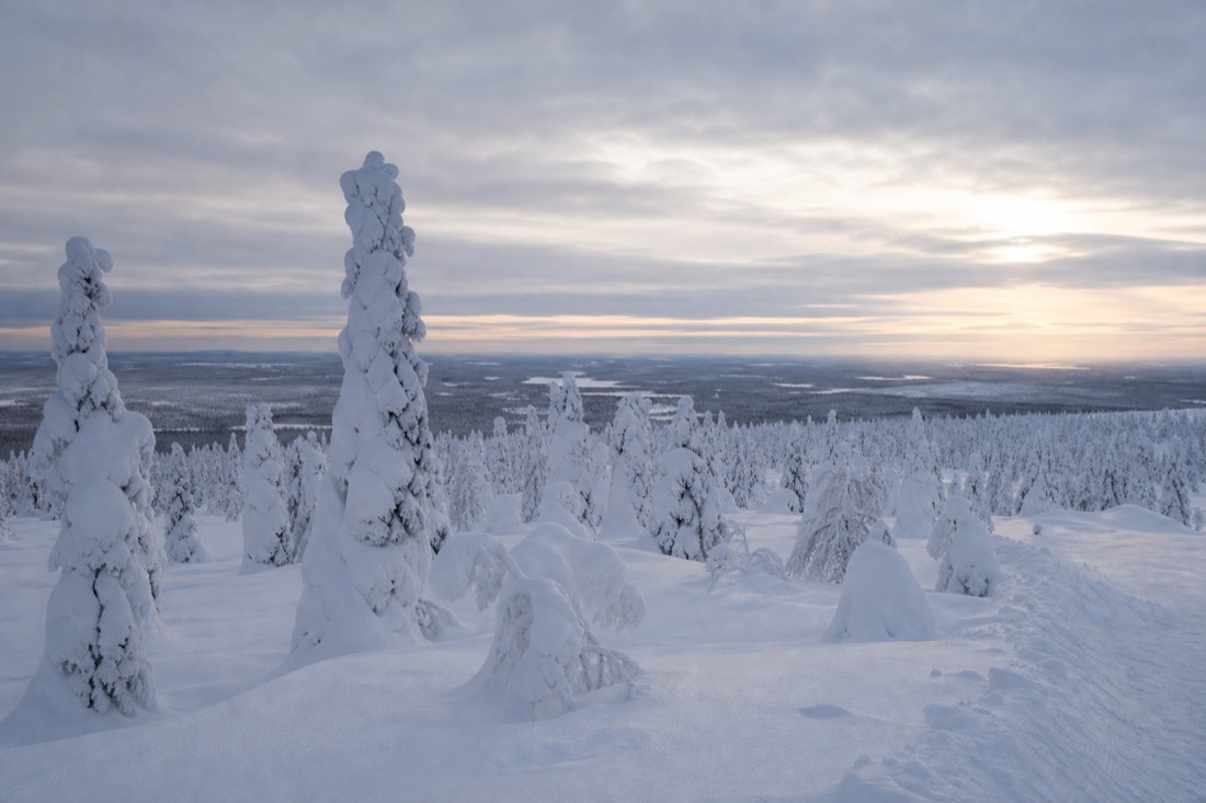 Snow-covered Finnish Lapland landscape in natural winter light