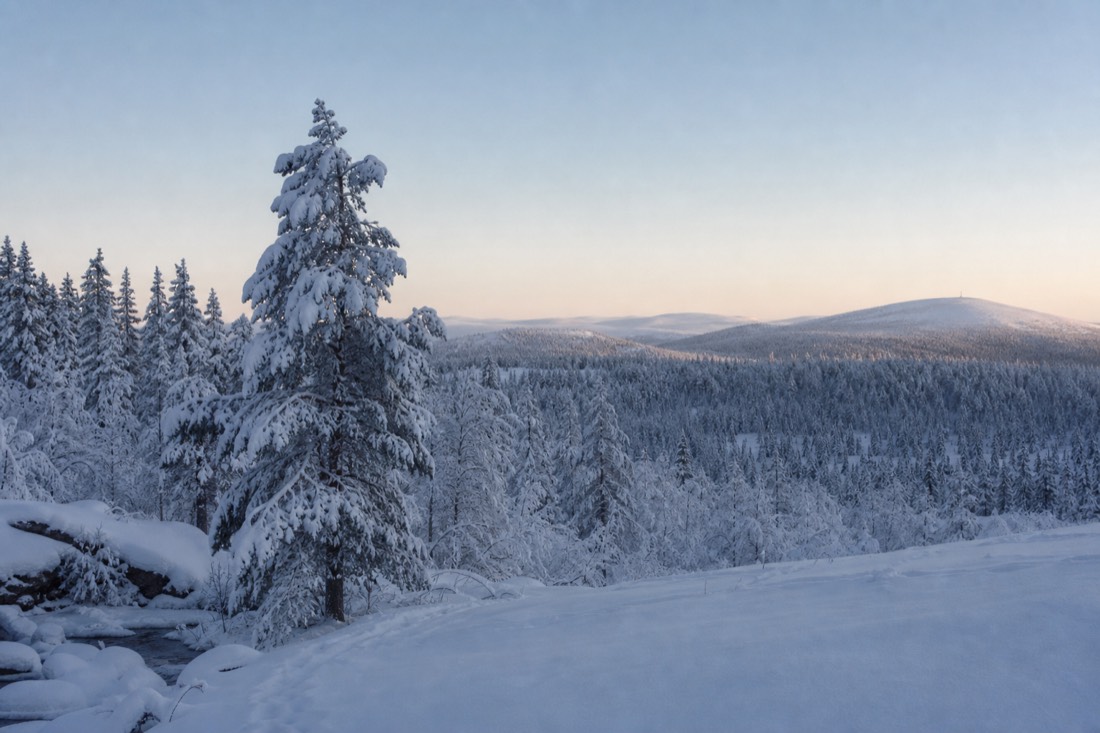 Snow-covered Finnish Lapland landscape in natural winter light