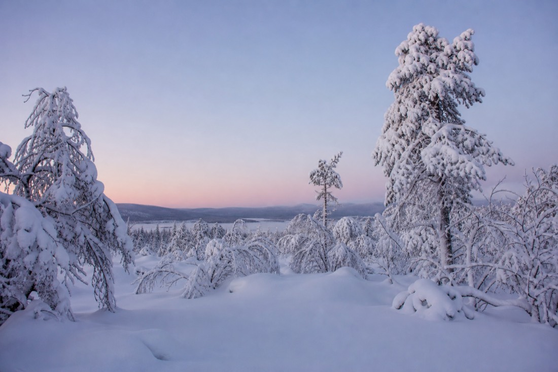 Snow-covered Finnish Lapland landscape in natural winter light