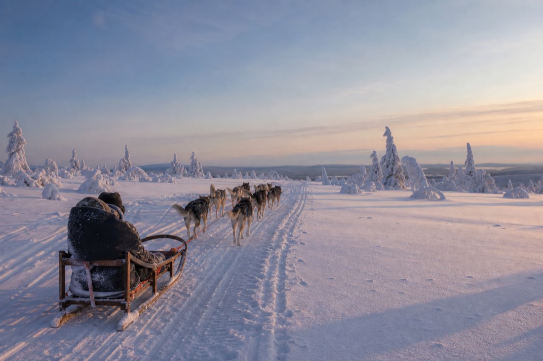 Snow-covered Finnish Lapland landscape in natural winter light