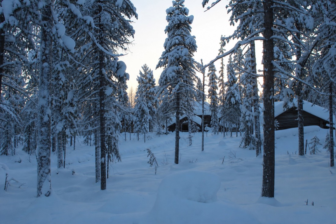 Snow-covered Finnish Lapland landscape in natural winter light