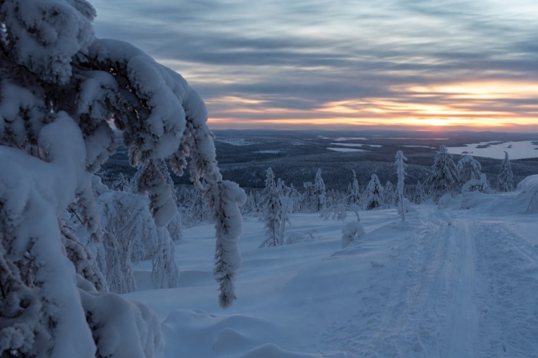 Snow-covered Finnish Lapland landscape in natural winter light