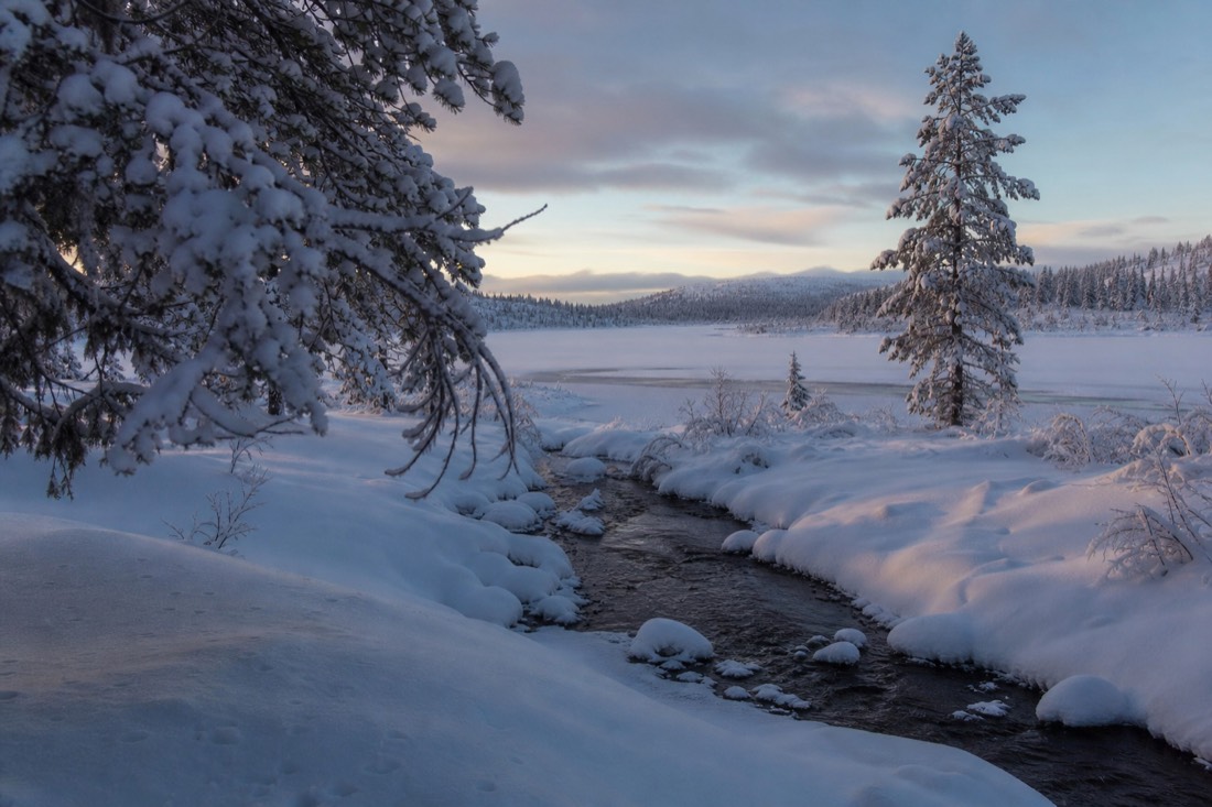 自然の冬の光に照らされた雪に覆われたフィンランドのラップランドの風景