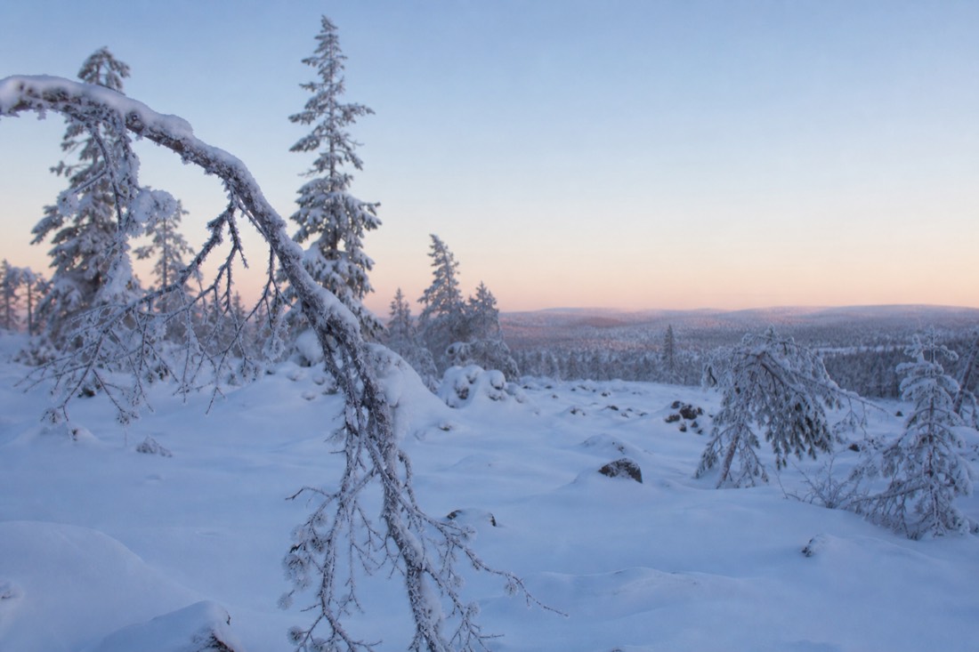 Snow-covered Finnish Lapland landscape in natural winter light