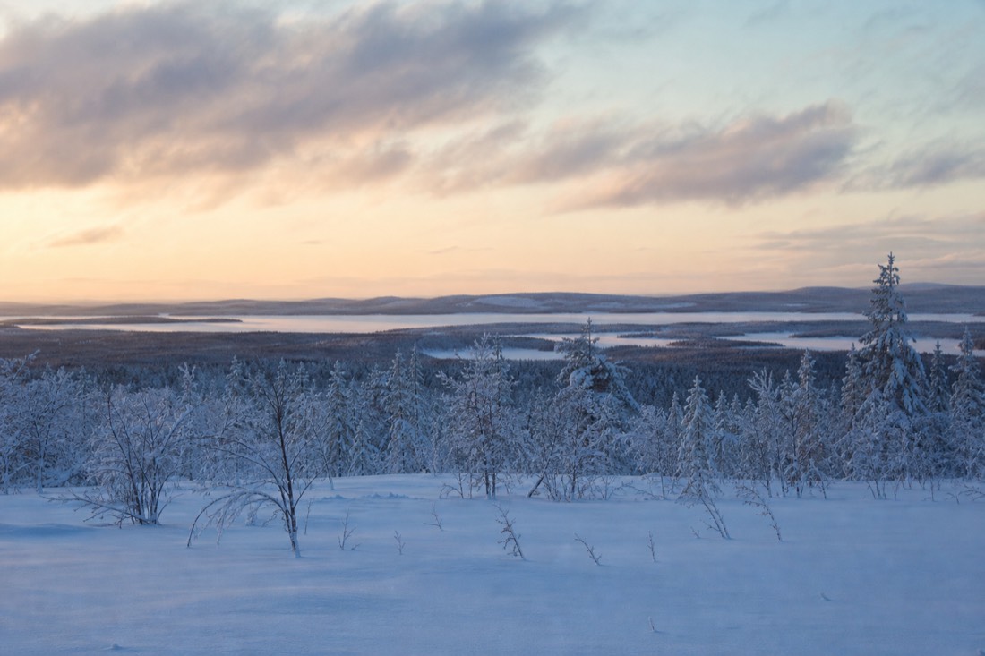 Snow-covered Finnish Lapland landscape in natural winter light