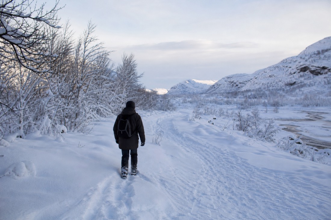 Snow-covered Finnish Lapland landscape in natural winter light