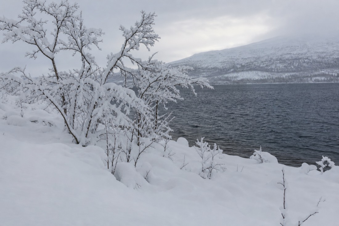 Snow-covered Finnish Lapland landscape in natural winter light